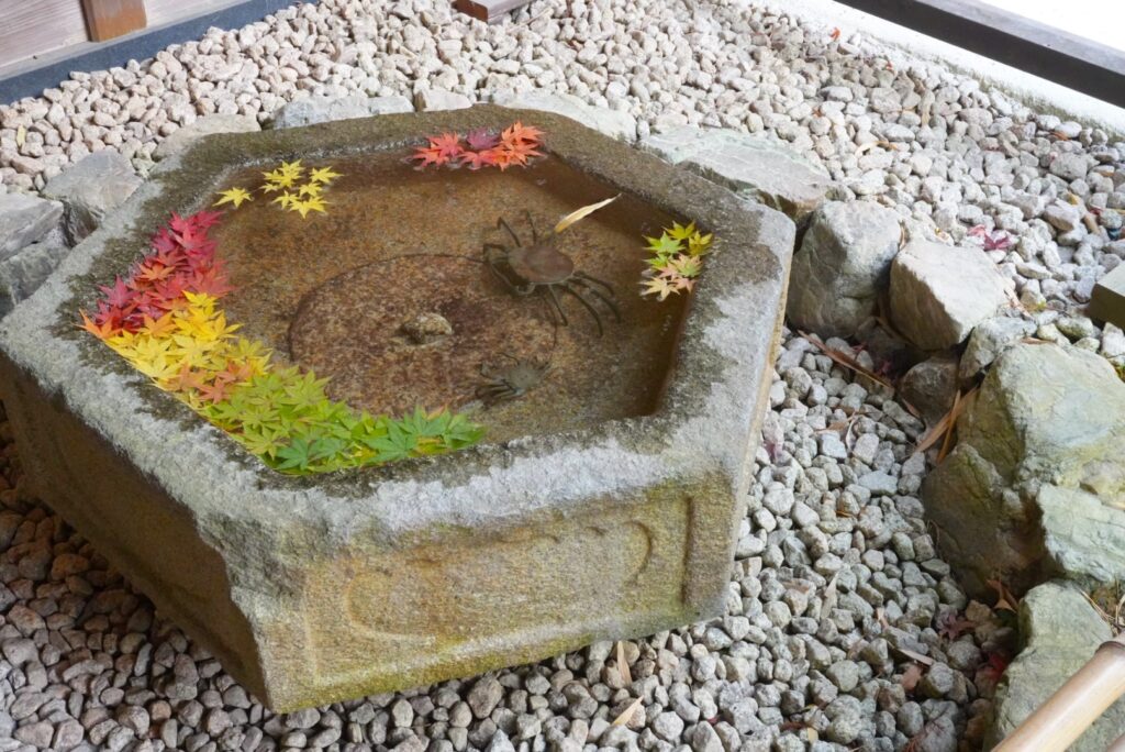 鎌倉「一条恵観山荘」の花手水