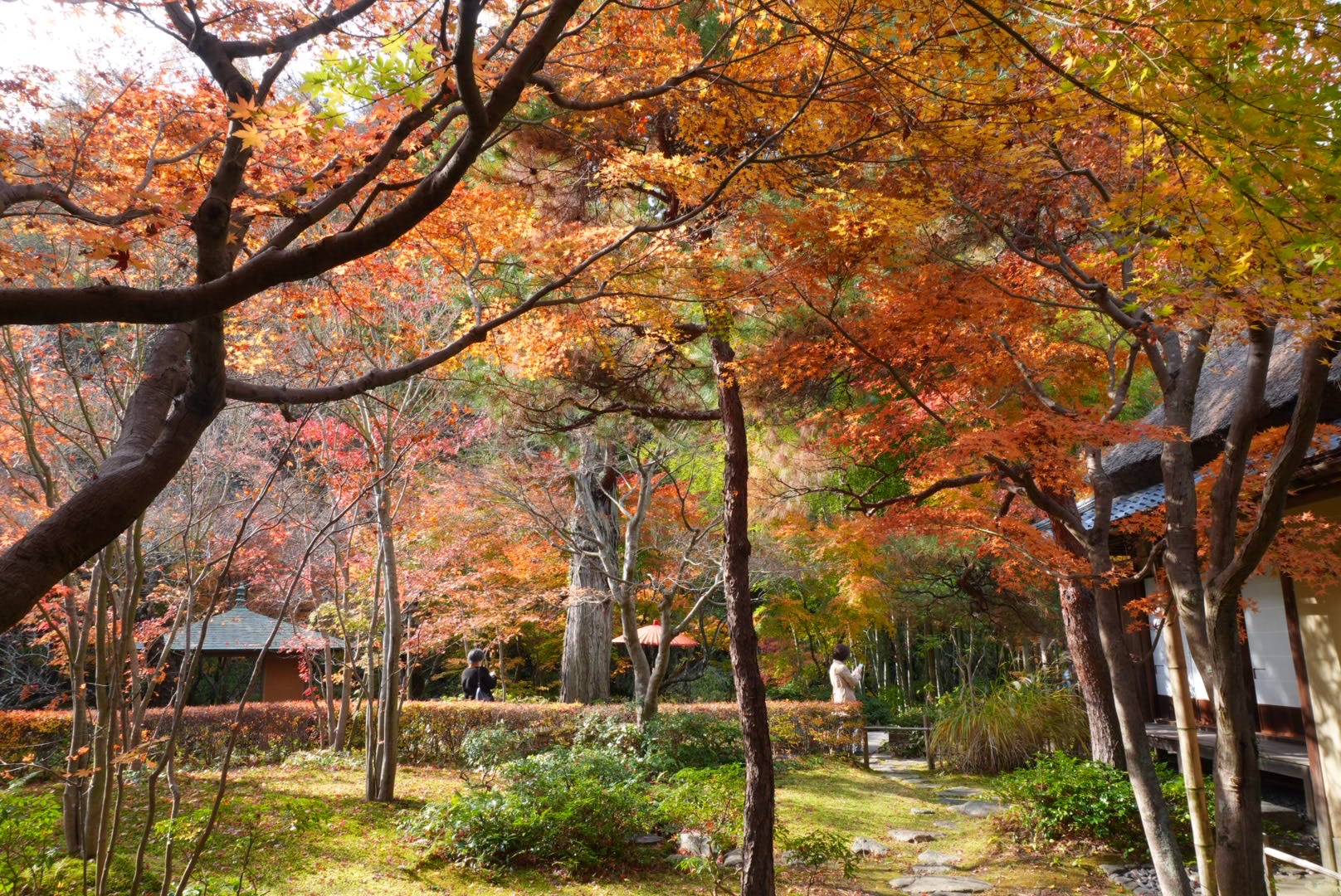 鎌倉「一条恵観山荘」の紅葉
