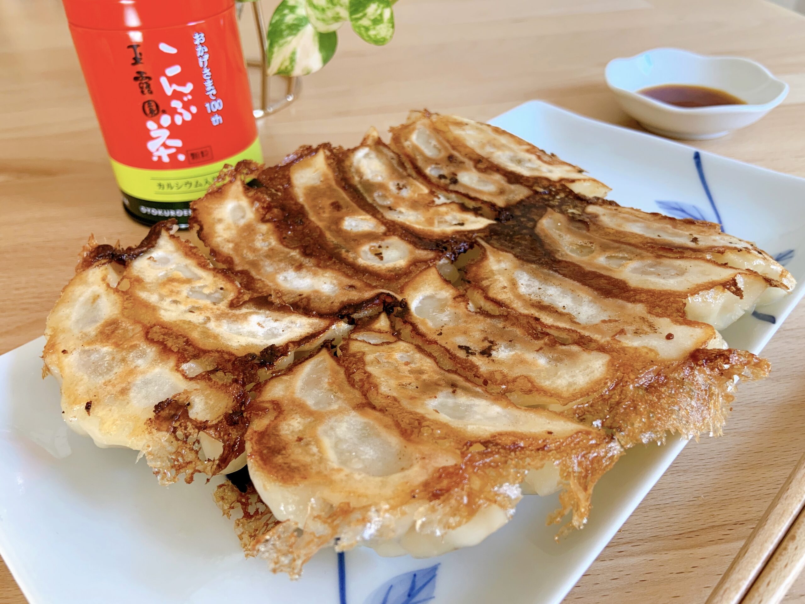 玉露園のこんぶ茶を使った旨みたっぷり和風餃子