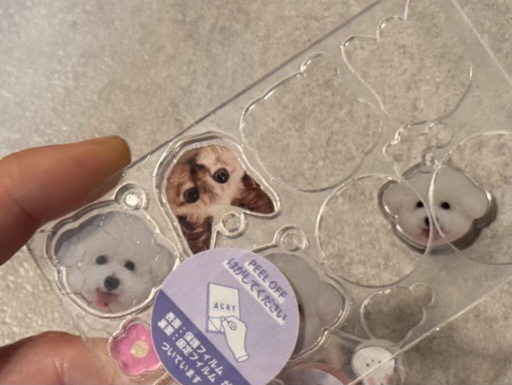 アクリルプレートから切り取りされている