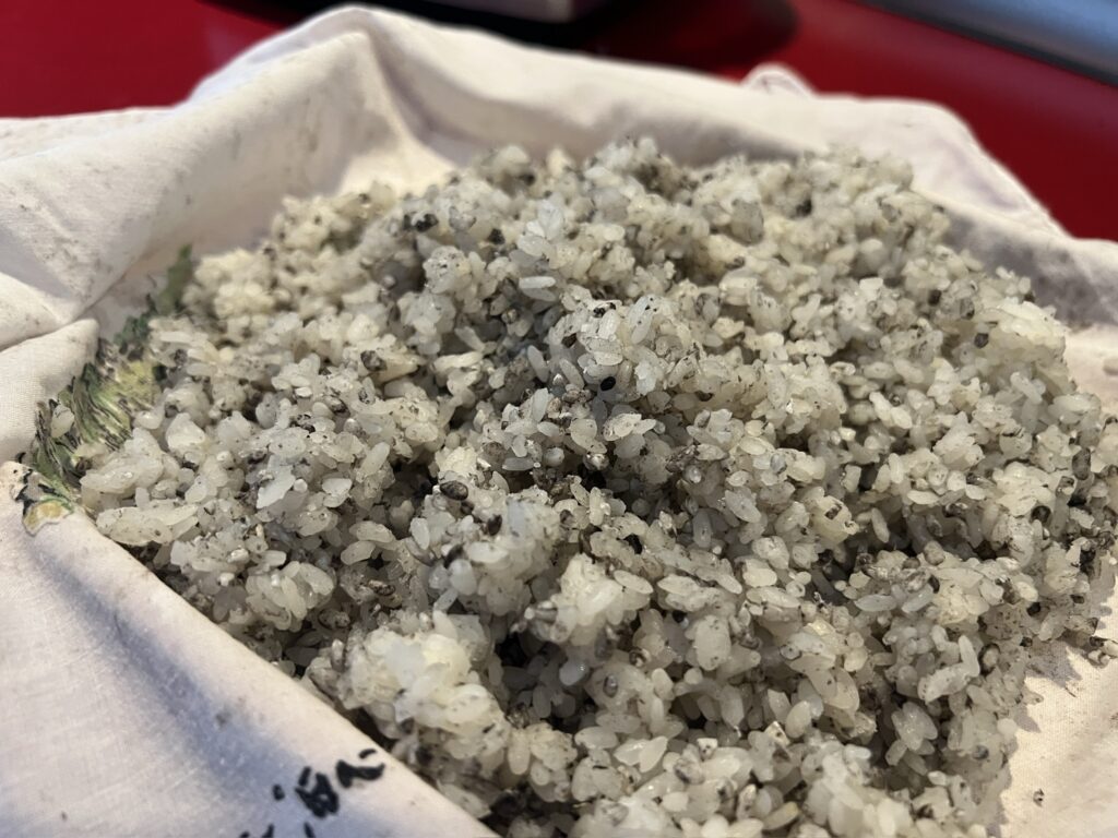 黒麹　自家製麹　麹づくり 麹作り　自家製黒麹　供麹　友麹