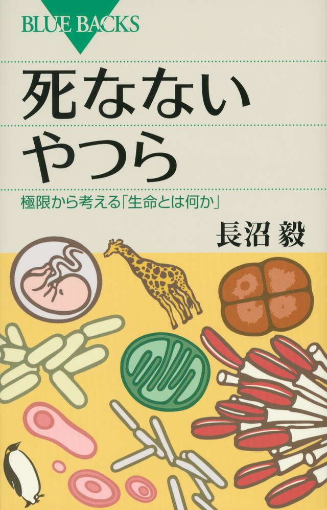 ゼロからトースターを作ってみた結果