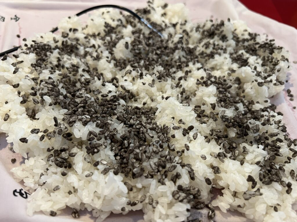 黒麹　自家製麹　麹づくり 麹作り　自家製黒麹　供麹　友麹
