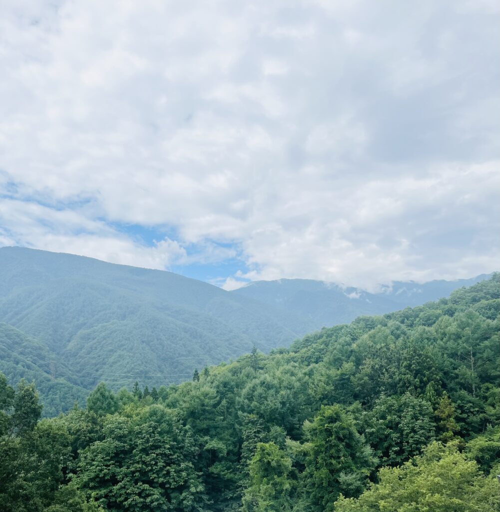 山　森