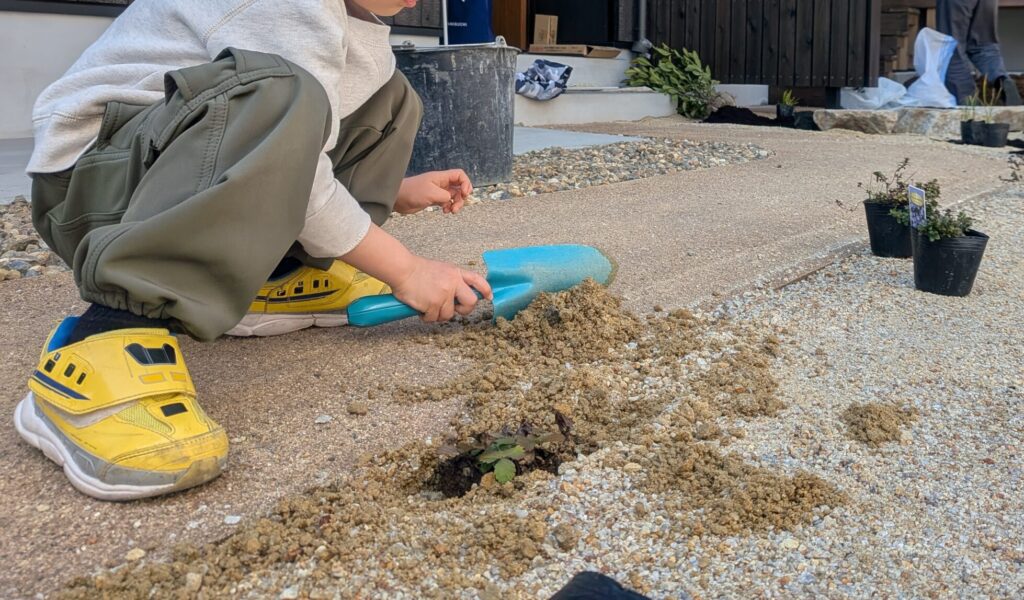 いちごの苗を植える子供