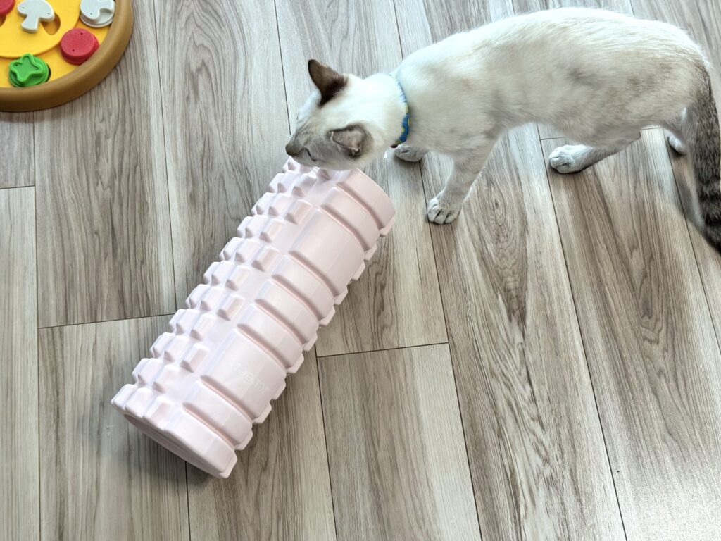 足をコロコロする健康器具と猫