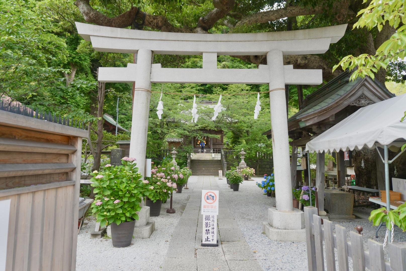 鎌倉の御霊神社