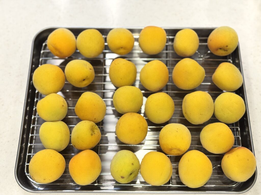 追熟して熟した南高梅